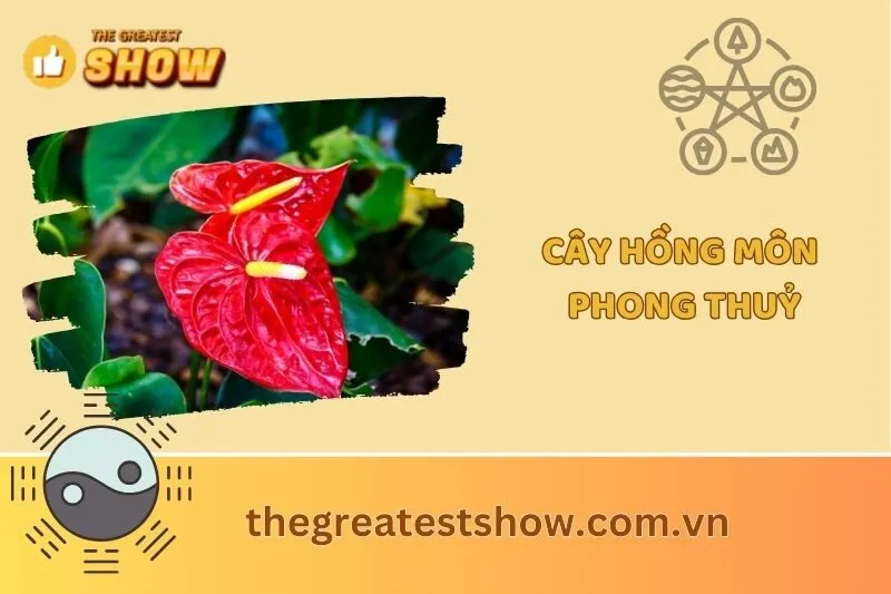 Cây Hồng Môn Phong Thuỷ 2025: Tác Dụng, Ý Nghĩa & Cách Chăm Sóc