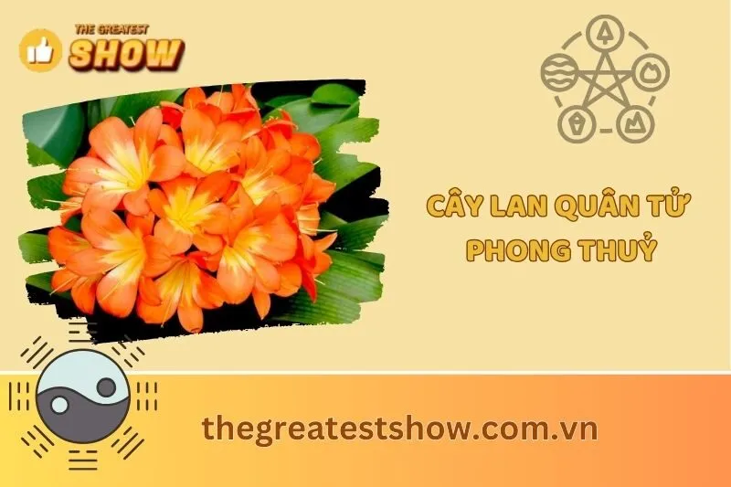 Cây Lan Quân Tử Phong Thủy 2025: Ý Nghĩa, Tác Dụng & Cách Trồng