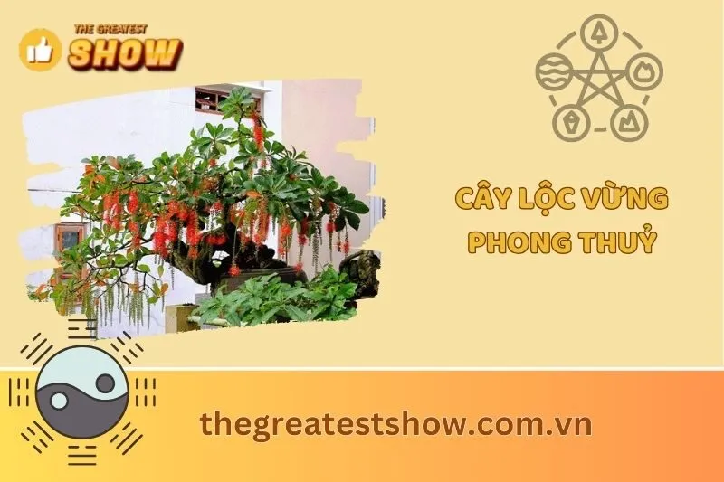 Cây lộc vừng phong thủy 2025 – Ý nghĩa, cách trồng và chăm sóc