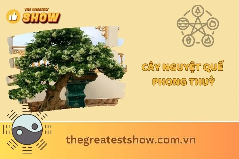 Cây Nguyệt Quế Phong Thủy 2025: Ý Nghĩa, Cách Trồng và Chăm Sóc