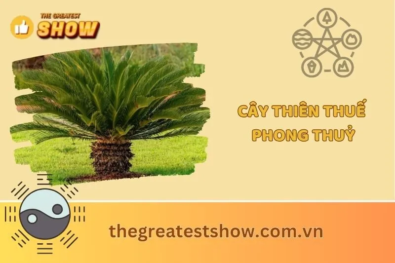 Cây Thiên Tuế Phong Thủy 2025: Ý Nghĩa, Công Dụng Và Cách Chăm Sóc