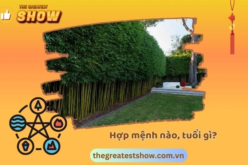 Cây Trúc Quân Tử Phù Hợp Với Tuổi Và Mệnh Gì?