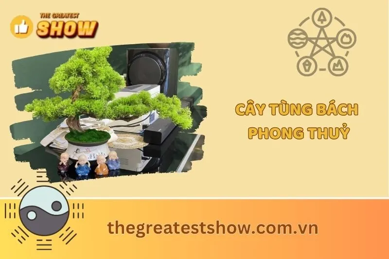 Cây tùng bách phong thủy 2025: Ý nghĩa, cách trồng và chăm sóc