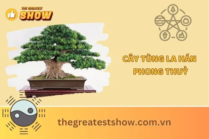 Cây Tùng La Hán Phong Thuỷ 2025: Ý Nghĩa, Cách Trồng
