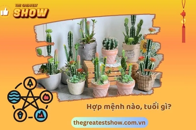 Cây xương rồng hợp mệnh gì?