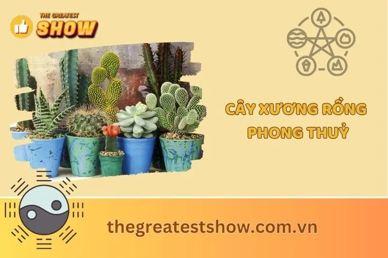 Cây Xương Rồng Phong Thủy 2025: Ý Nghĩa & Cách Bố Trí Hợp Mệnh