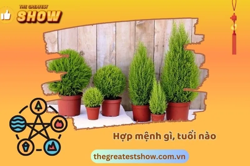 Hợp với người mệnh nào, tuổi gì?