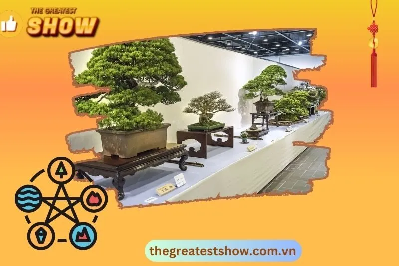 Lợi ích khi trồng cây bonsai phong thủy
