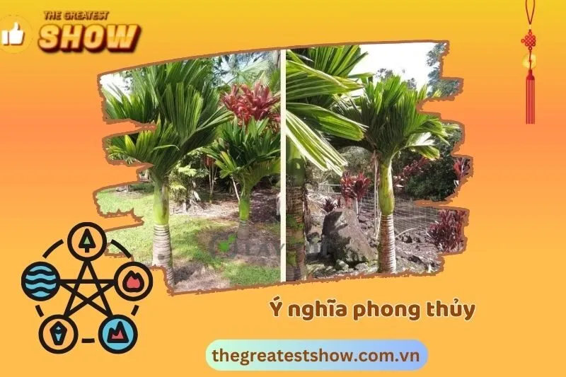 Ý Nghĩa Cây Cau Vua Phong Thủy