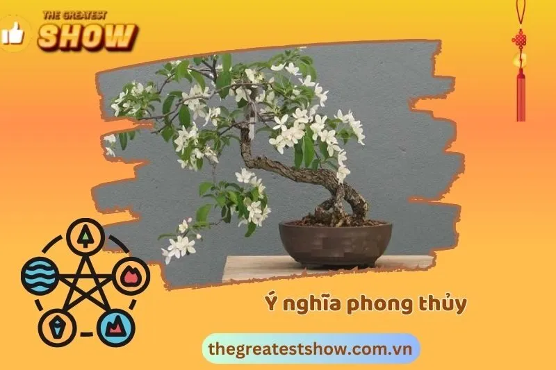 Ý nghĩa cây nguyệt quế trong phong thủy