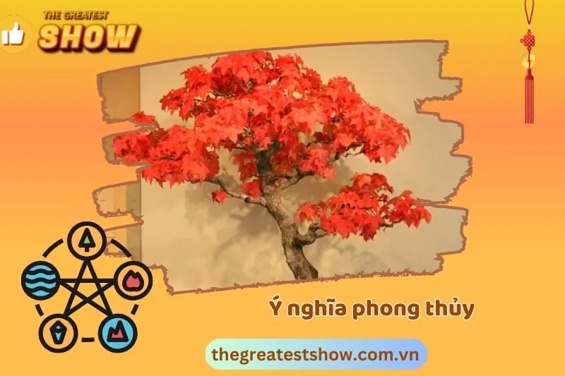Ý nghĩa cây phong lá đỏ trong phong thuỷ