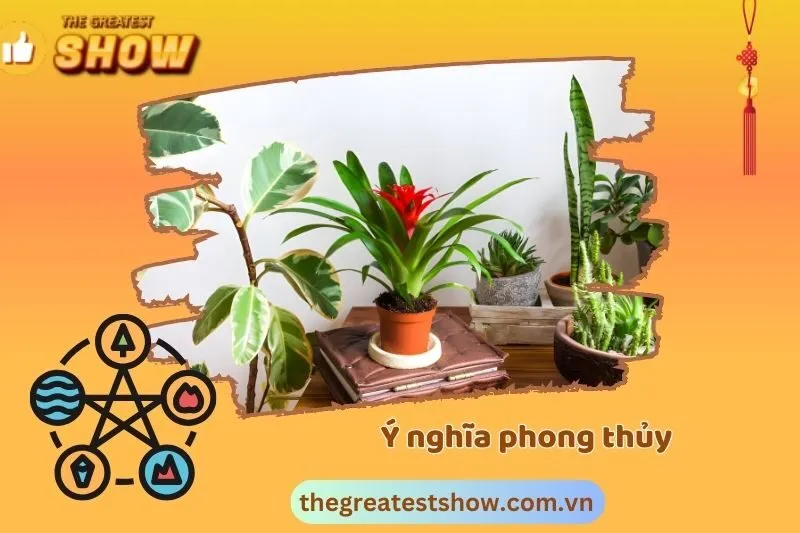 Ý nghĩa của cây dứa cảnh nến phong thuỷ