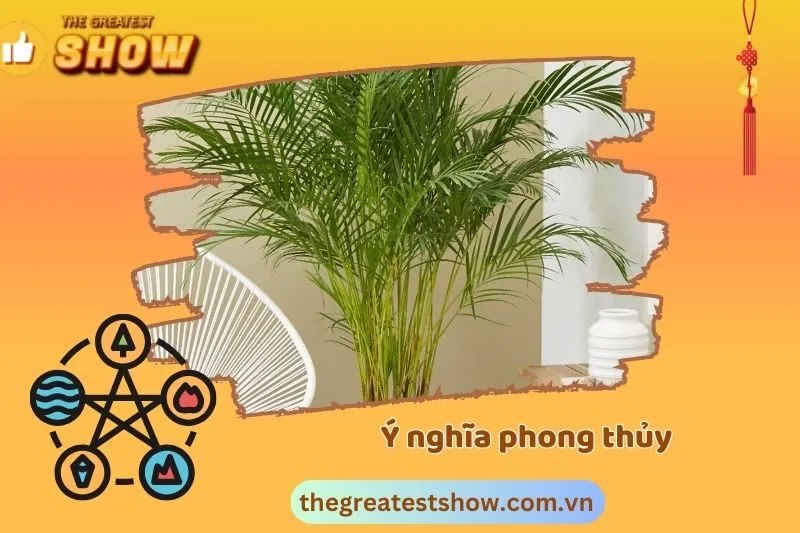 Ý nghĩa phong thủy của cây cau cảnh