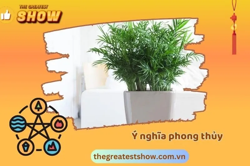 Cây cau tiểu trâm phong thuỷ 2025: Ý nghĩa, cách trồng, công dụng