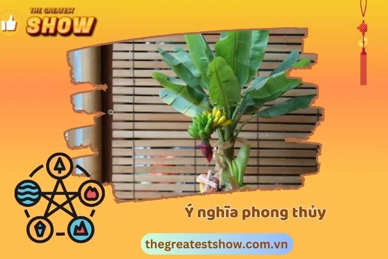 Ý nghĩa phong thủy của cây chuối cảnh