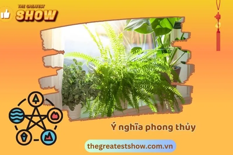 Ý nghĩa phong thủy của cây dương xỉ