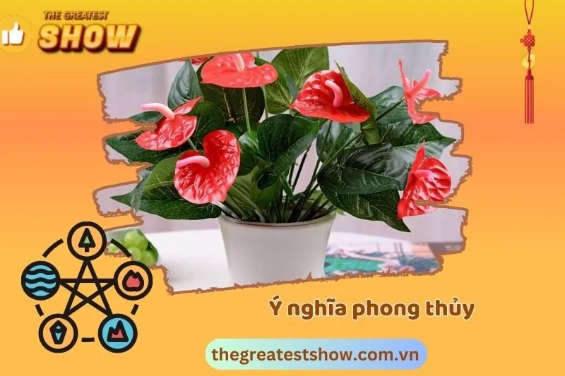 Ý Nghĩa Phong Thuỷ Của Cây Hồng Môn