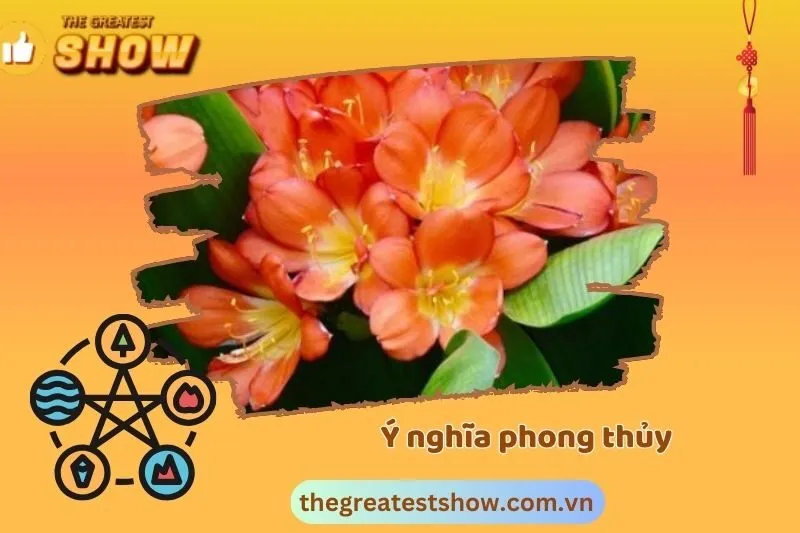 Ý nghĩa phong thủy của cây Lan Quân Tử