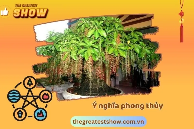 Ý nghĩa phong thủy của cây lộc vừng