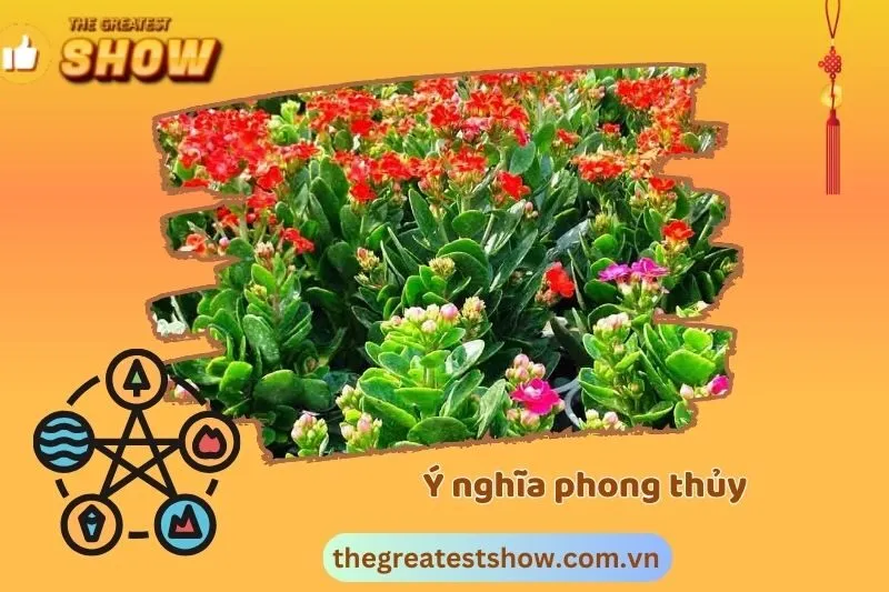 Ý nghĩa phong thủy của cây sống đời