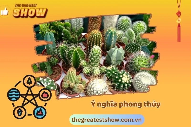 Ý nghĩa phong thủy của cây xương rồng