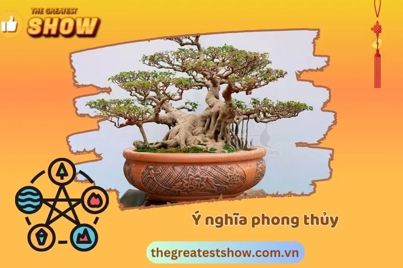 Ý nghĩa phong thủy của từng dáng cây bonsai