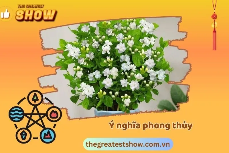 Ý nghĩa trong văn hóa và phong thủy